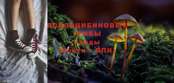 a pvp Дмитриев